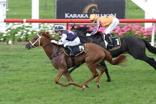 2018 Karaka Million 3YO Classic winner Scott Base.